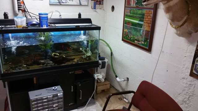 20151013_002812.jpg 20151013_002812.jpg