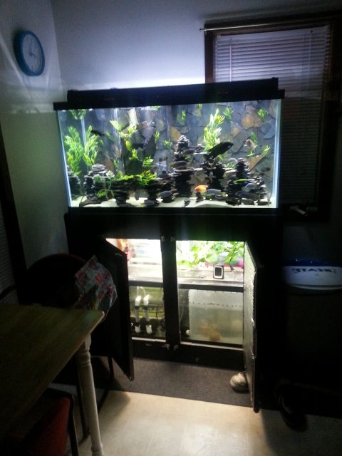 20141123_001924.jpg