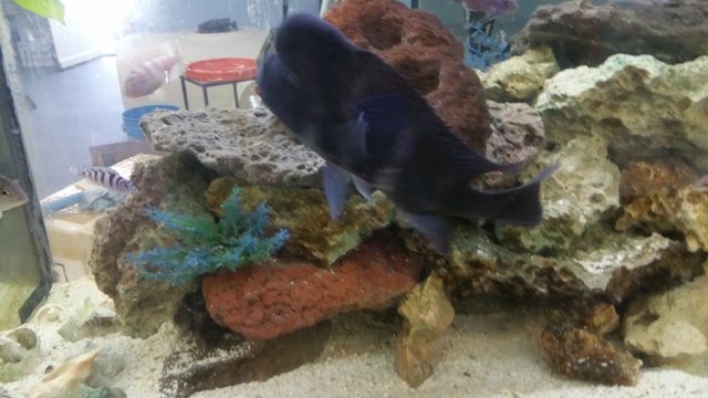 20151013_145316.jpg