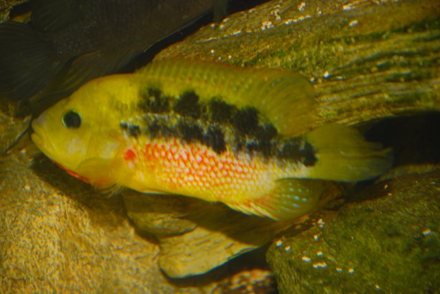 DSC_0094.JPG