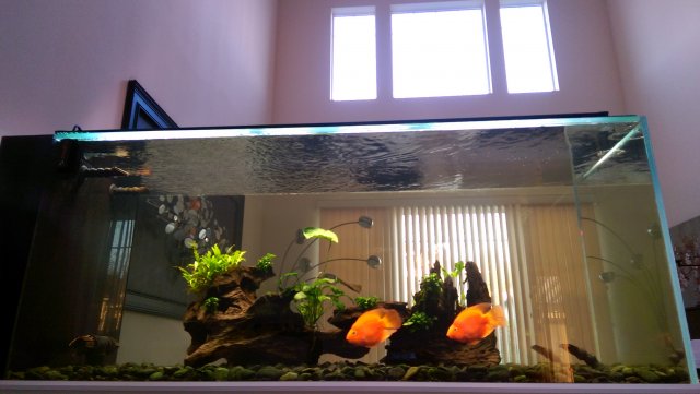 WP_20151003_018.jpg WP_20151003_018.jpg