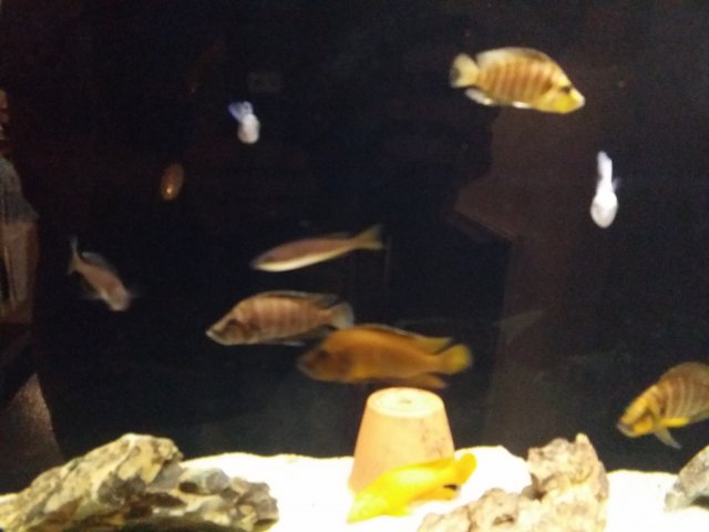 20151010_141042.jpg