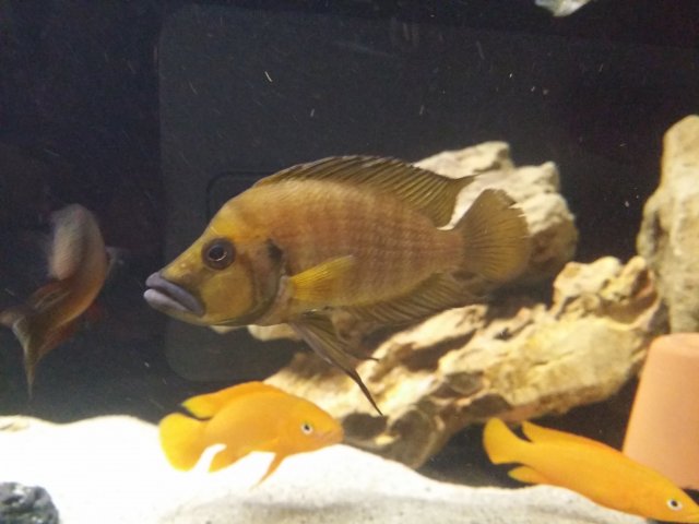 20150611_230145.jpg