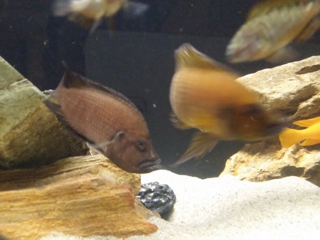 20150611_230202.jpg
