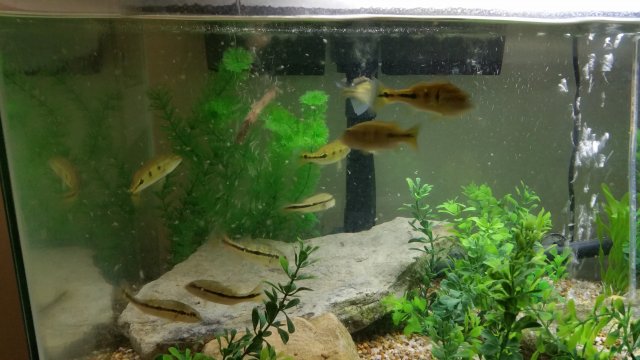 20151016_120946.jpg