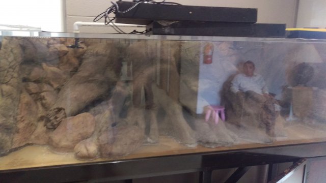 IMAG0407.jpg