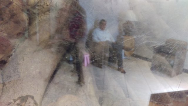 IMAG0408.jpg IMAG0408.jpg