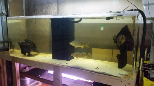 20151019_155009.jpg