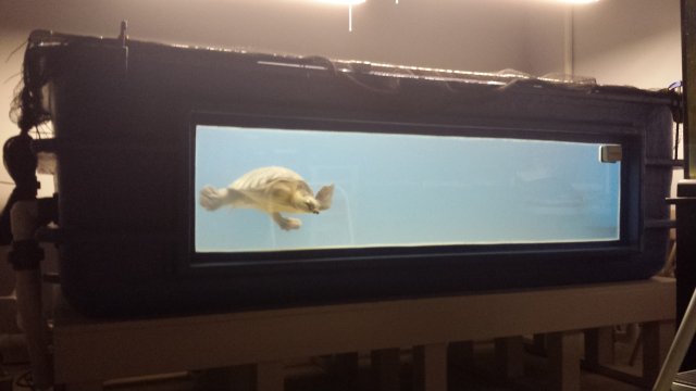 New Home Finished.jpg New Home Finished.jpg