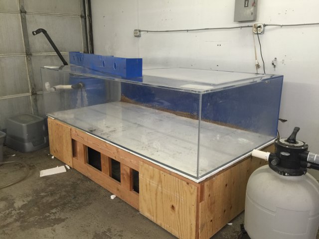 IMG_3352.JPG IMG_3352.JPG