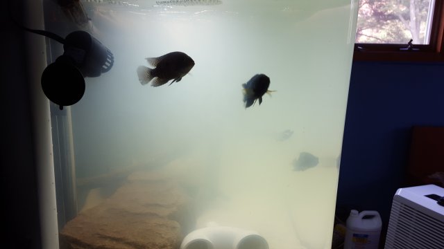 20151021_151339.jpg