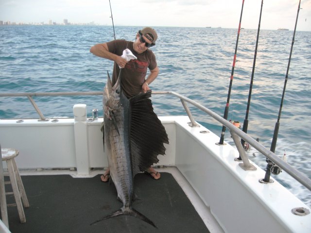 sailfish.jpg