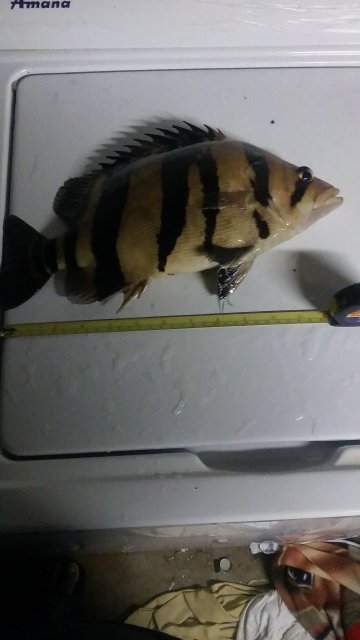 20151013_183108.jpg