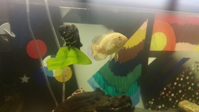 20151016_224250.jpg