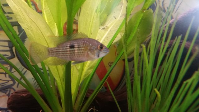 20151024_161724.jpg
