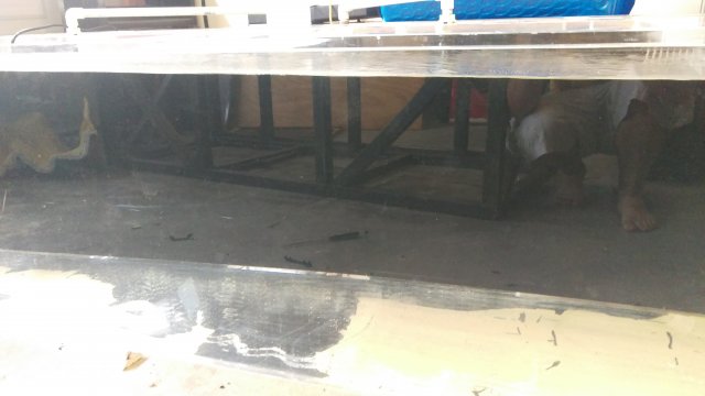 IMAG0435.jpg