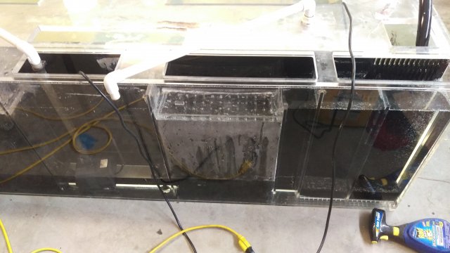 IMAG0437.jpg