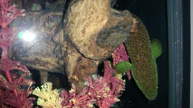 20151027_005834.jpg