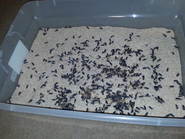 20150922_210903.jpg