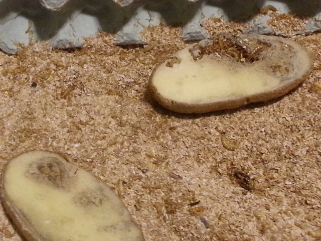 20150929_143654.jpg