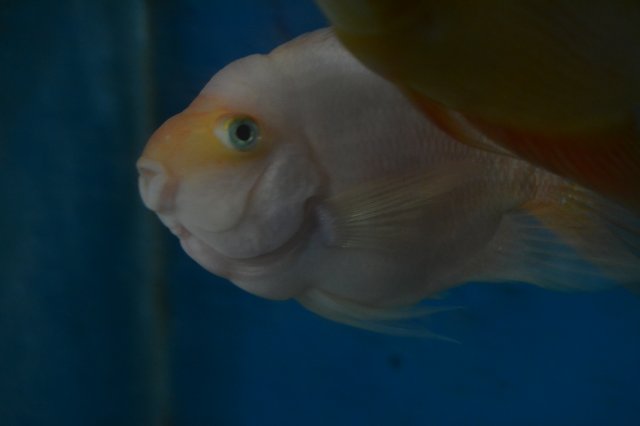DSC_0791.JPG