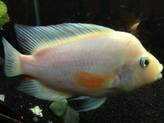 image.jpeg image.jpeg