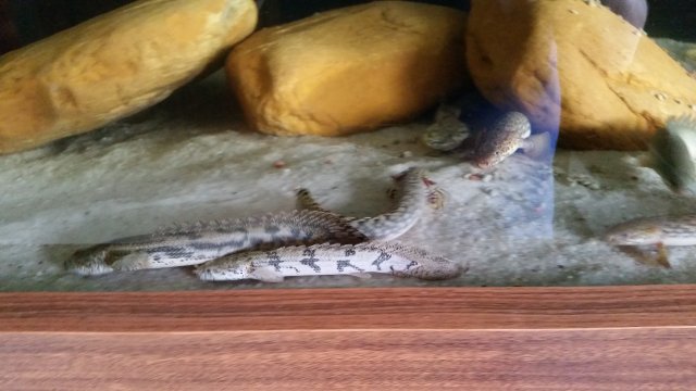 20150909_145429.jpg