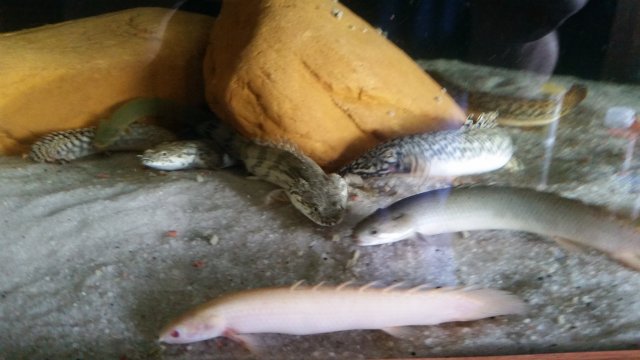 20150909_145547.jpg