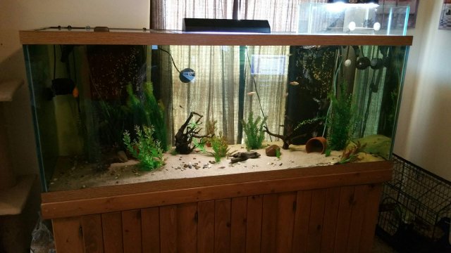 20151030_110059.jpeg 20151030_110059.jpeg