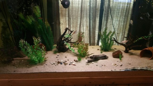 20151030_110106.jpeg 20151030_110106.jpeg