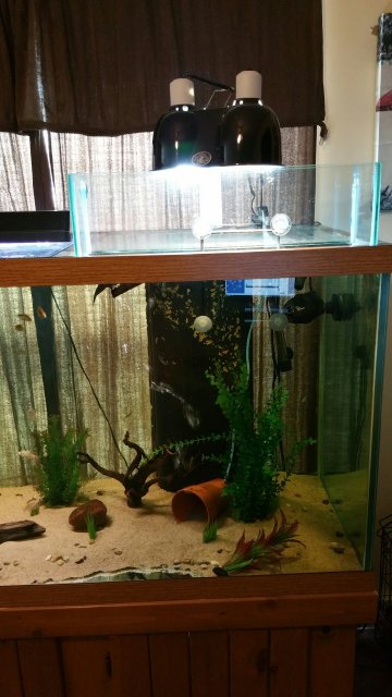 20151030_110118.jpeg 20151030_110118.jpeg