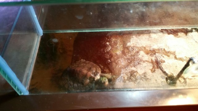 20151030_110125.jpeg 20151030_110125.jpeg