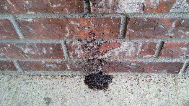 20151030_113606.jpg