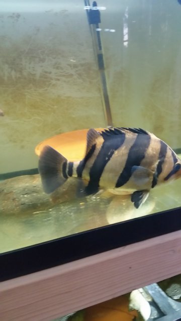 20151025_180445.jpg