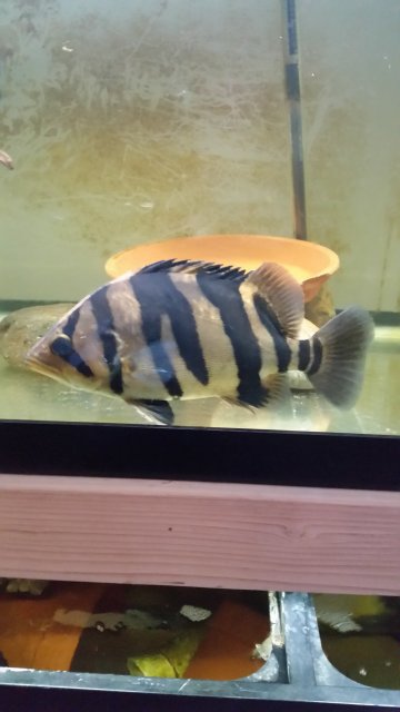 20151025_180416.jpg