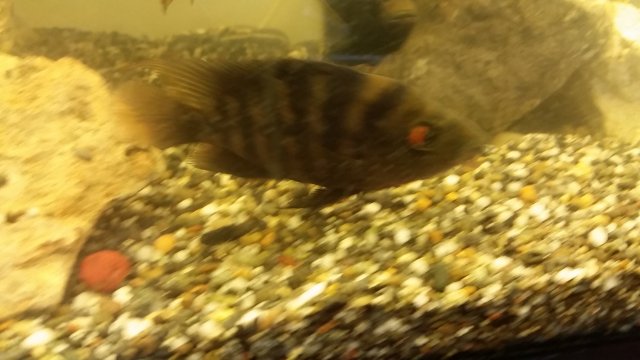 20151031_091549.jpg