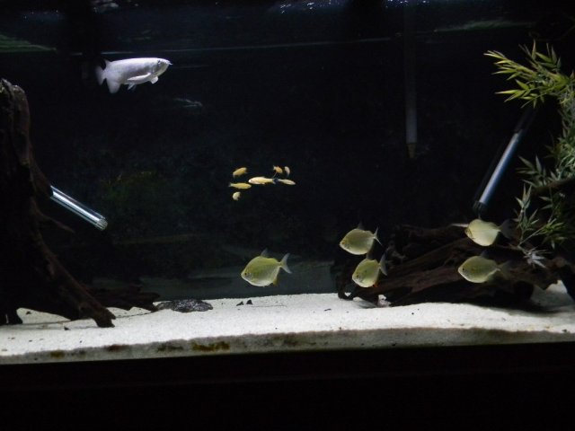 006.JPG