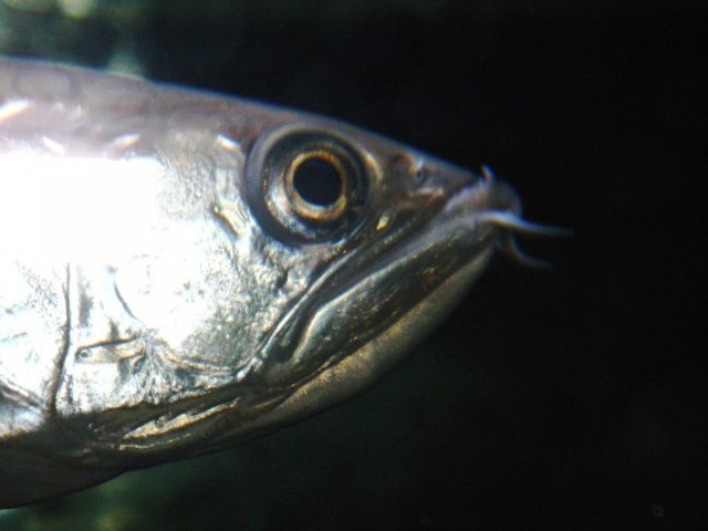 006.JPG
