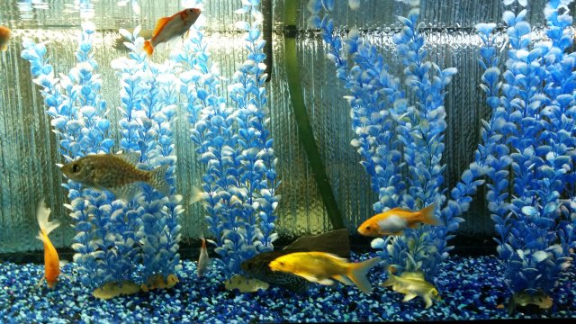 20151029_205937.jpg 20151029_205937.jpg