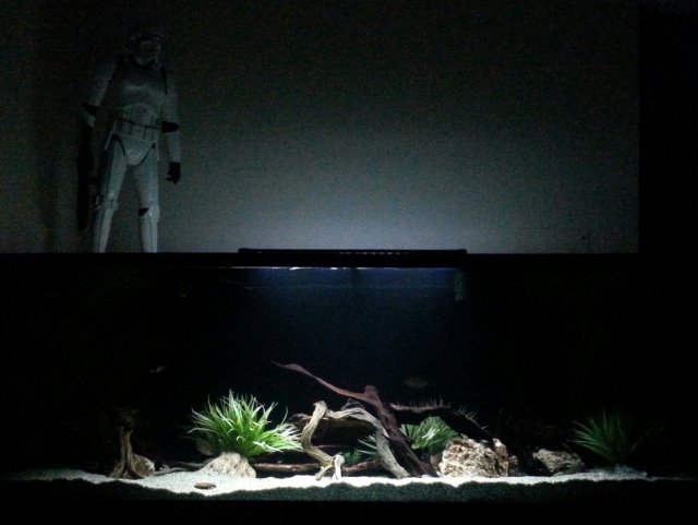 20151102_221846-1.jpg