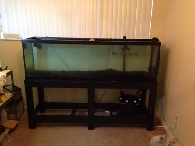 FB_IMG_1446699241911.jpg FB_IMG_1446699241911.jpg