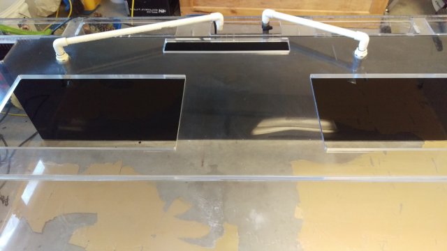 IMAG0453.jpg