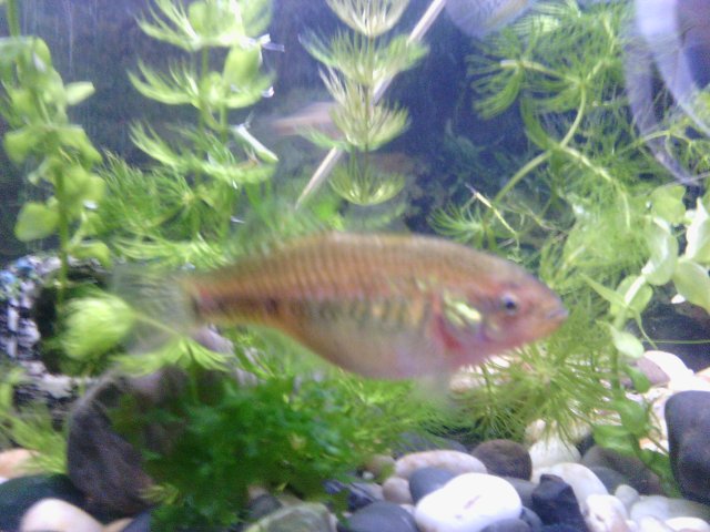 IMG_20151107_193829.jpg IMG_20151107_193829.jpg