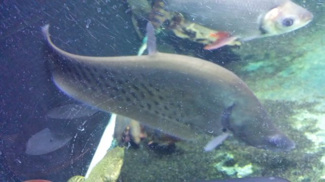 20151005_213254.jpg