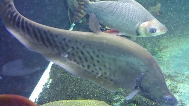 20151005_213302.jpg