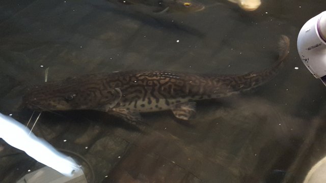 20151107_192138.jpg