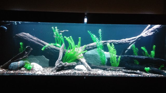 20151029_211407.jpg