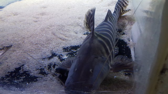 20151101_184253.jpg