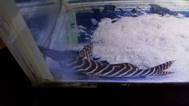 20151101_184218.jpg