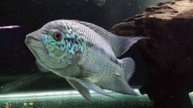 20151029_002023_3_bestshot.jpg 20151029_002023_3_bestshot.jpg